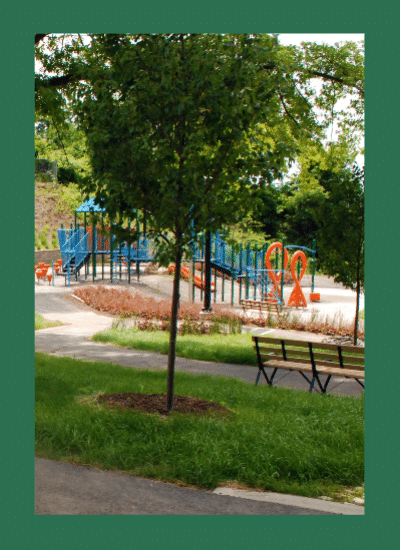 August Wilson Park playground among greenery and trees