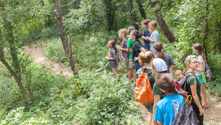 Children walking on a trail and looking at surrounding plants