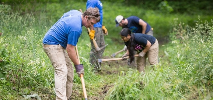 Volunteers clearing a field