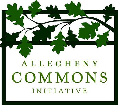 Allegheny Commons Initiative logo