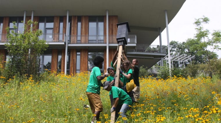 A group of people placing a stake into the ground at Frick Environmental Center