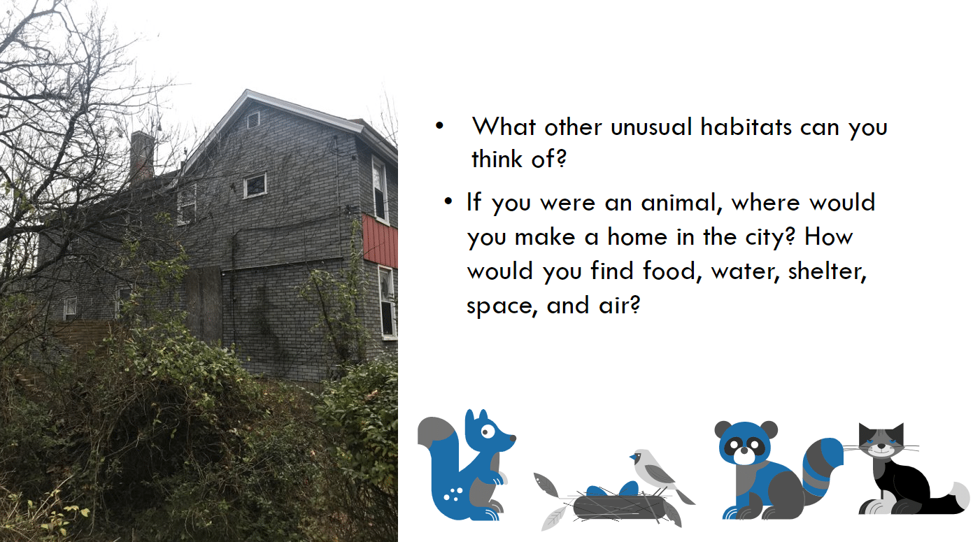 Image of house and cartoon animals