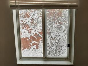 A window with a view of white snow on the branches of plants