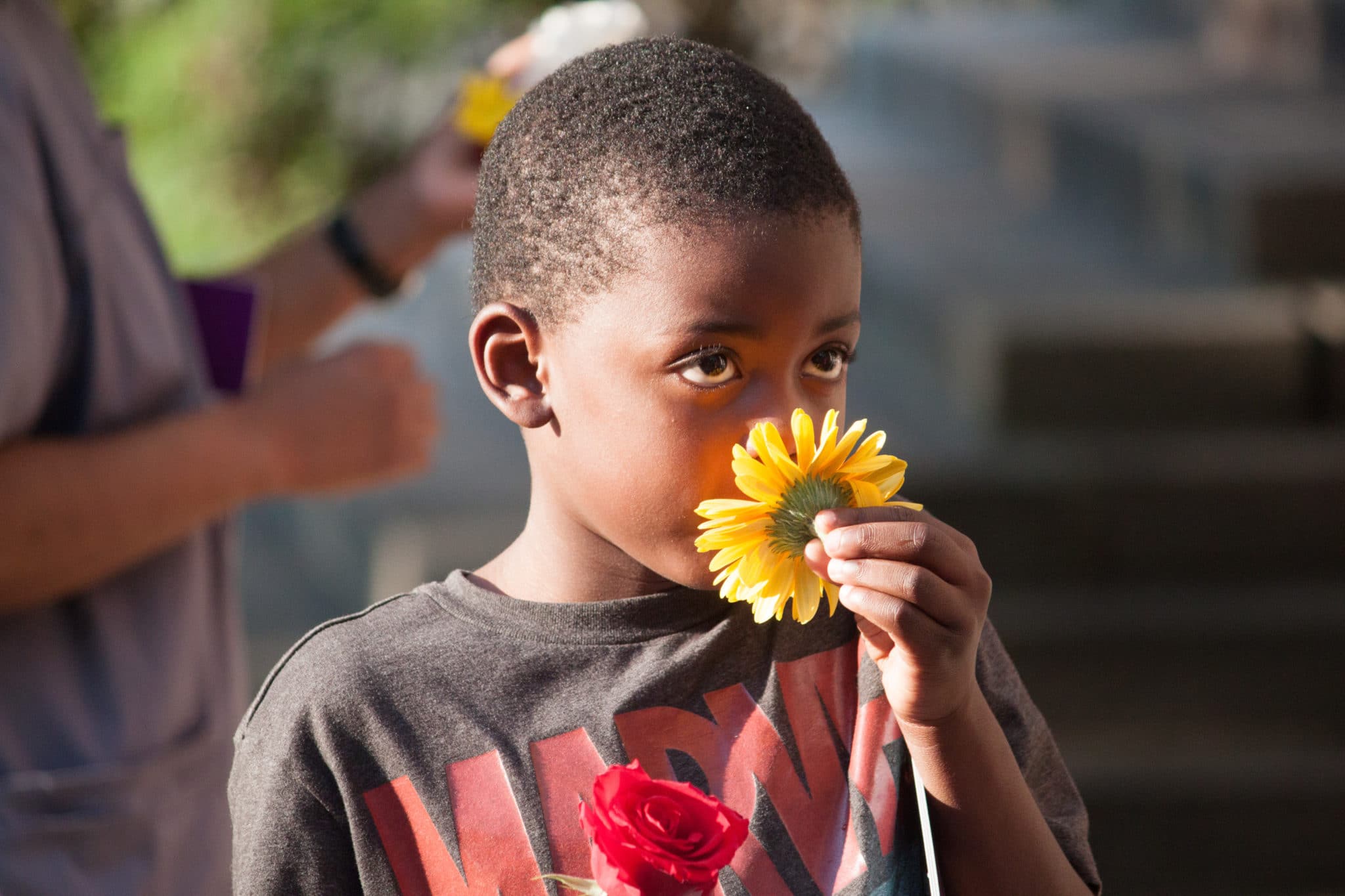 A child smelling a yellow flower