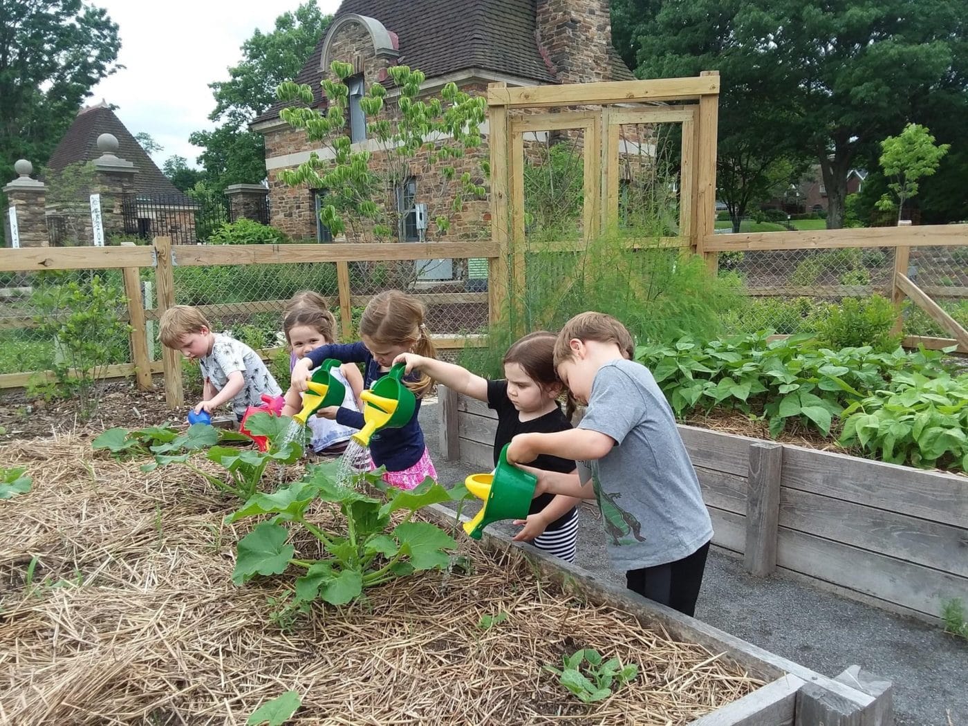 From Slavery to Freedom Garden | Pittsburgh Parks Conservancy