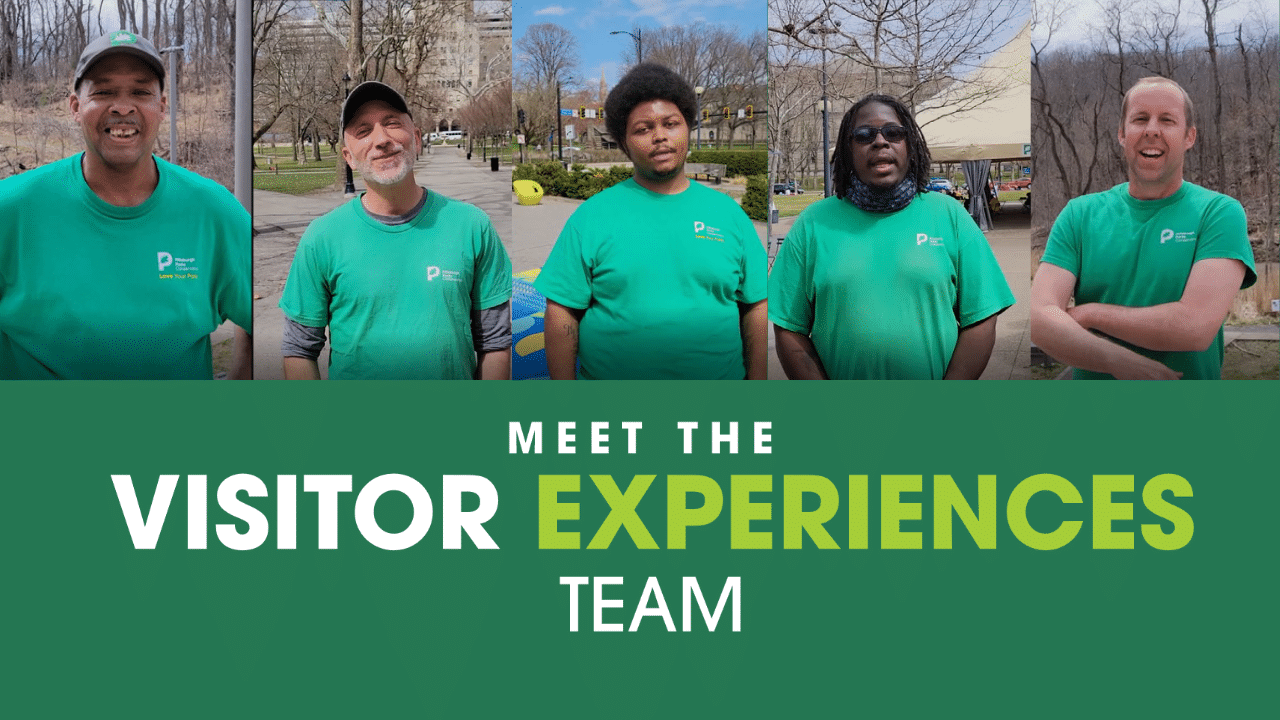 Visitor Experience Team