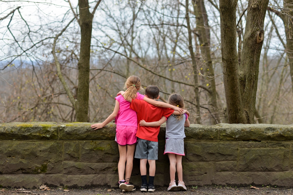Three kids in the park standing by an overlook.