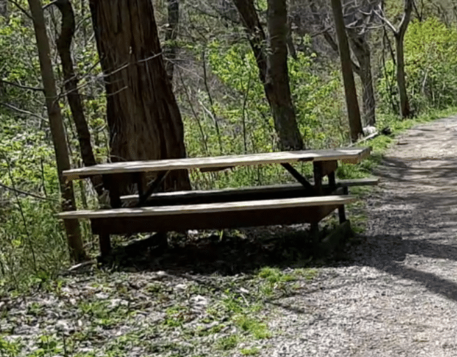 Bench next to a trail