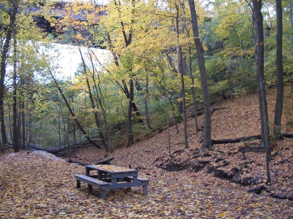image of a picnic table in the park