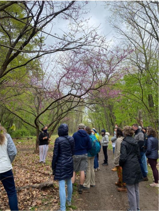 socially distanced foraging hike in frick park