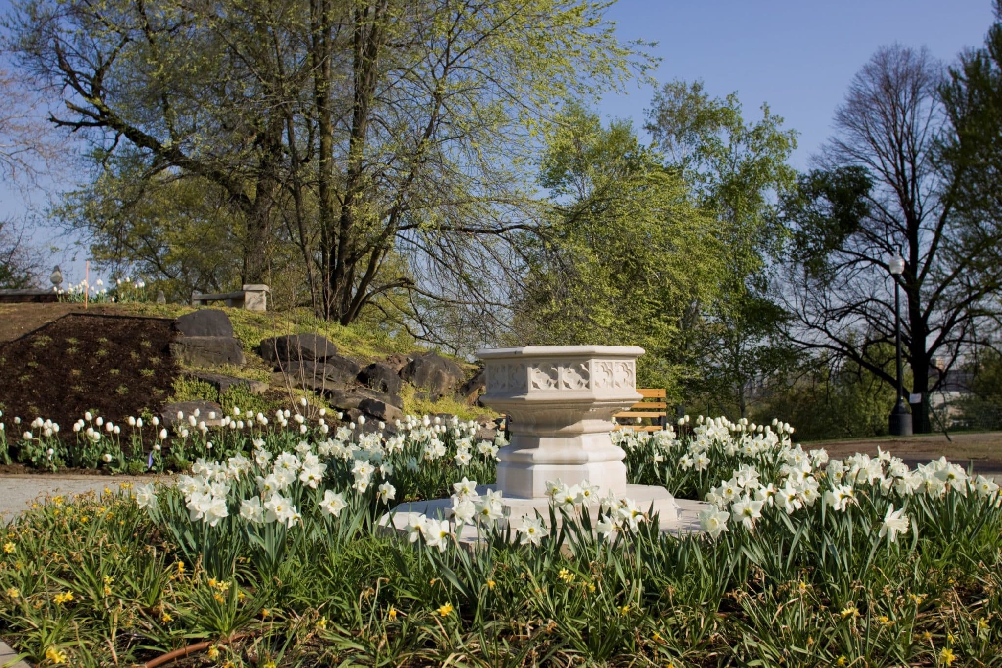 Springtime in the Pittsburgh Parks Conservancy