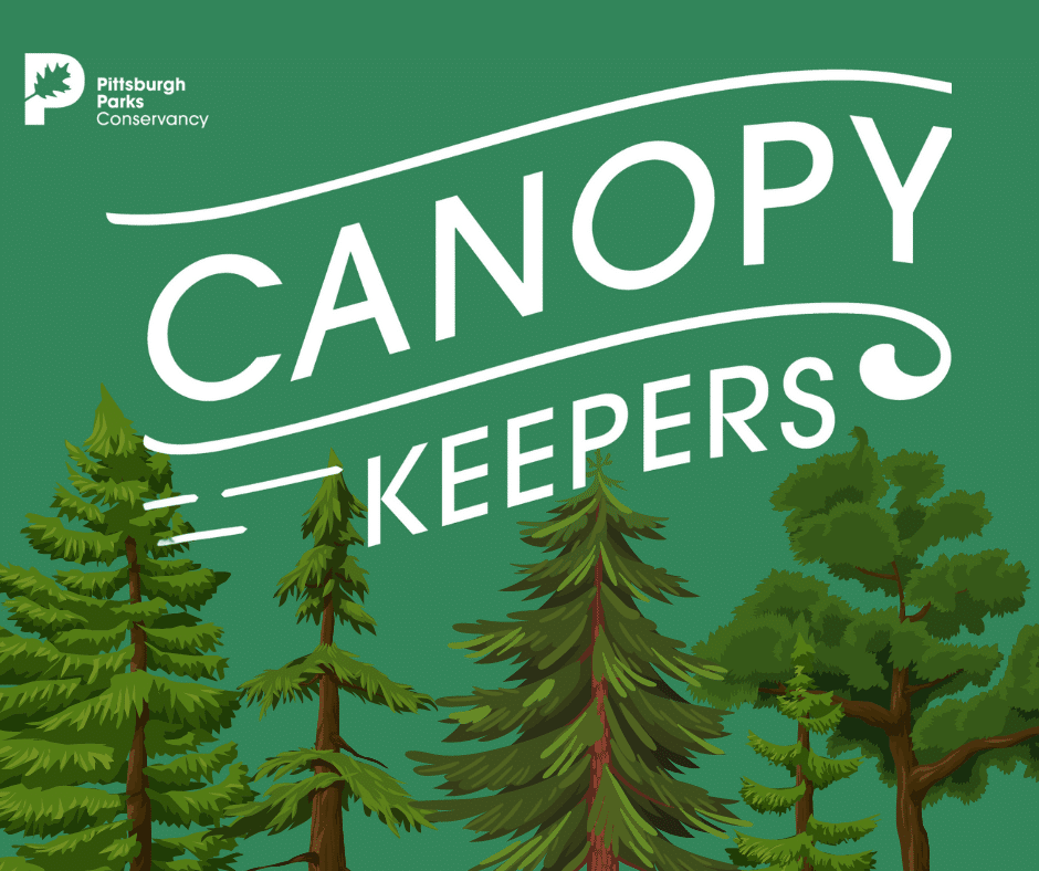 Show your support for Pittsburgh's urban forest and become a Canopy Keeper today