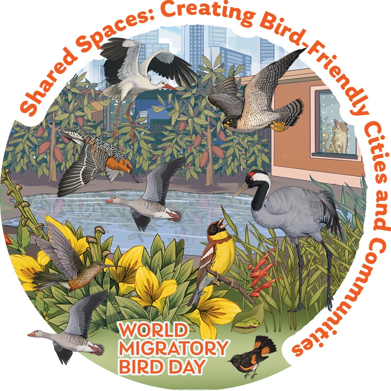 WMBD Sticker Graphic