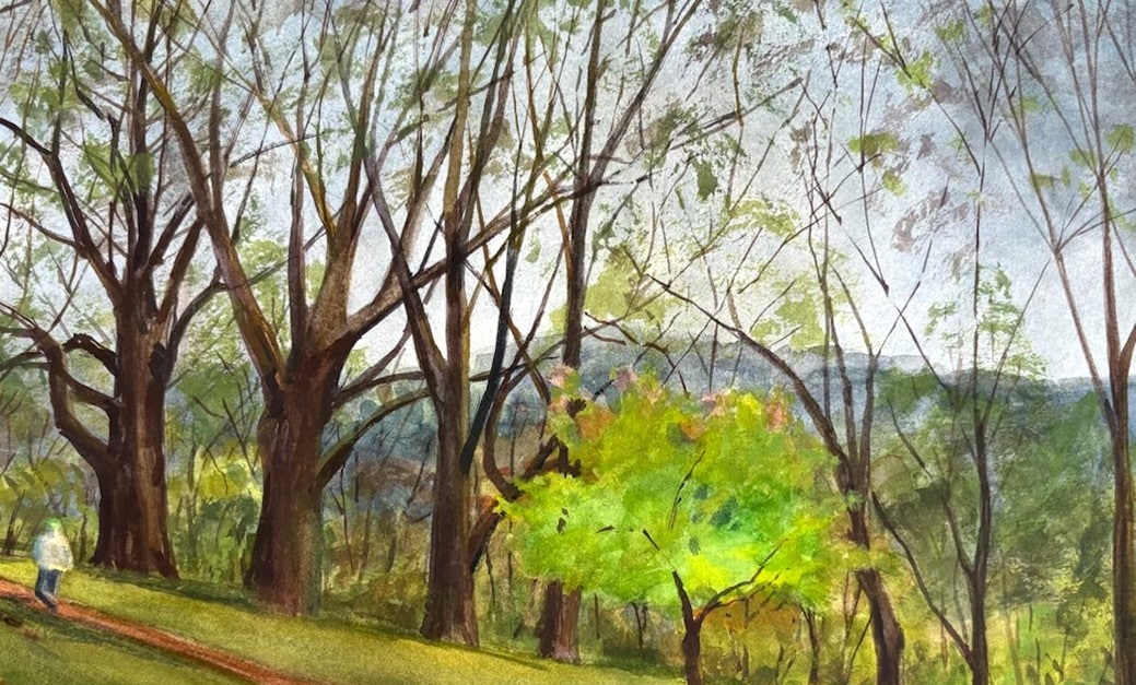 A watercolor painting depicts trees on a hill and a small person looking up at them.