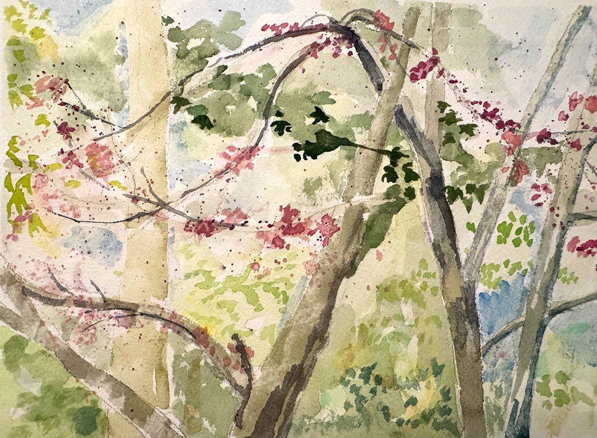 A watercolor painting of trees is expressive and colorful.