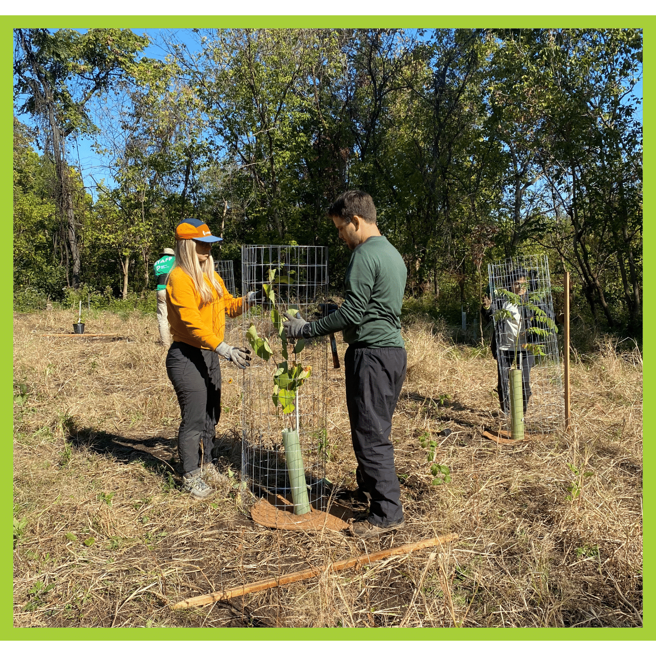 Two people stand on either side of a new tree planting in a meadow with brown grass.