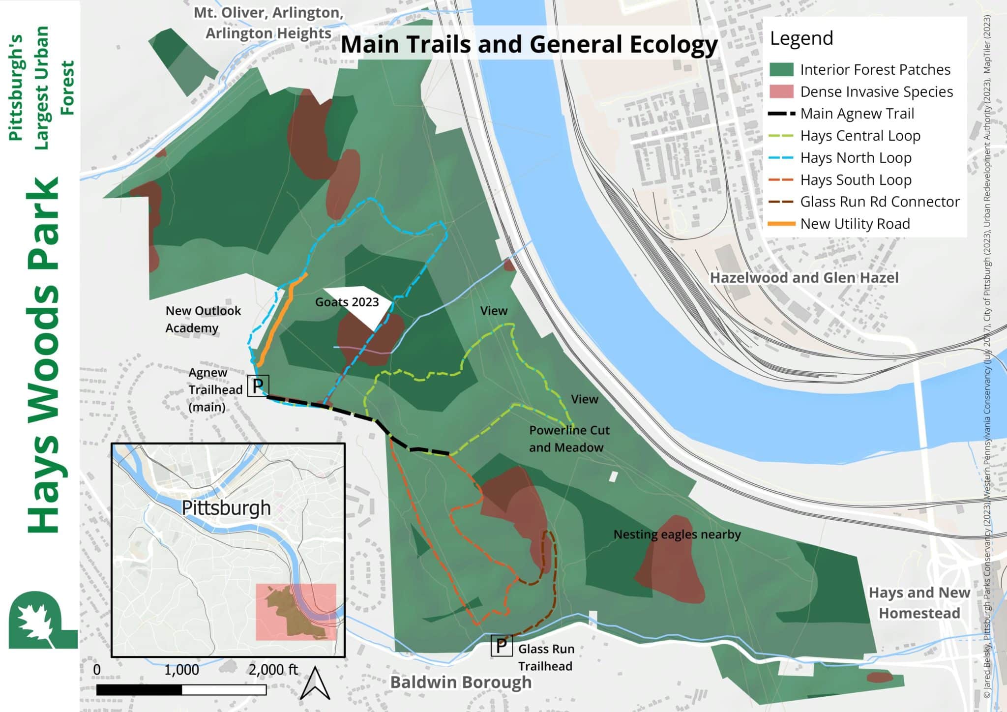 A graphic map of Hays Woods showing the Trails And General Ecology.