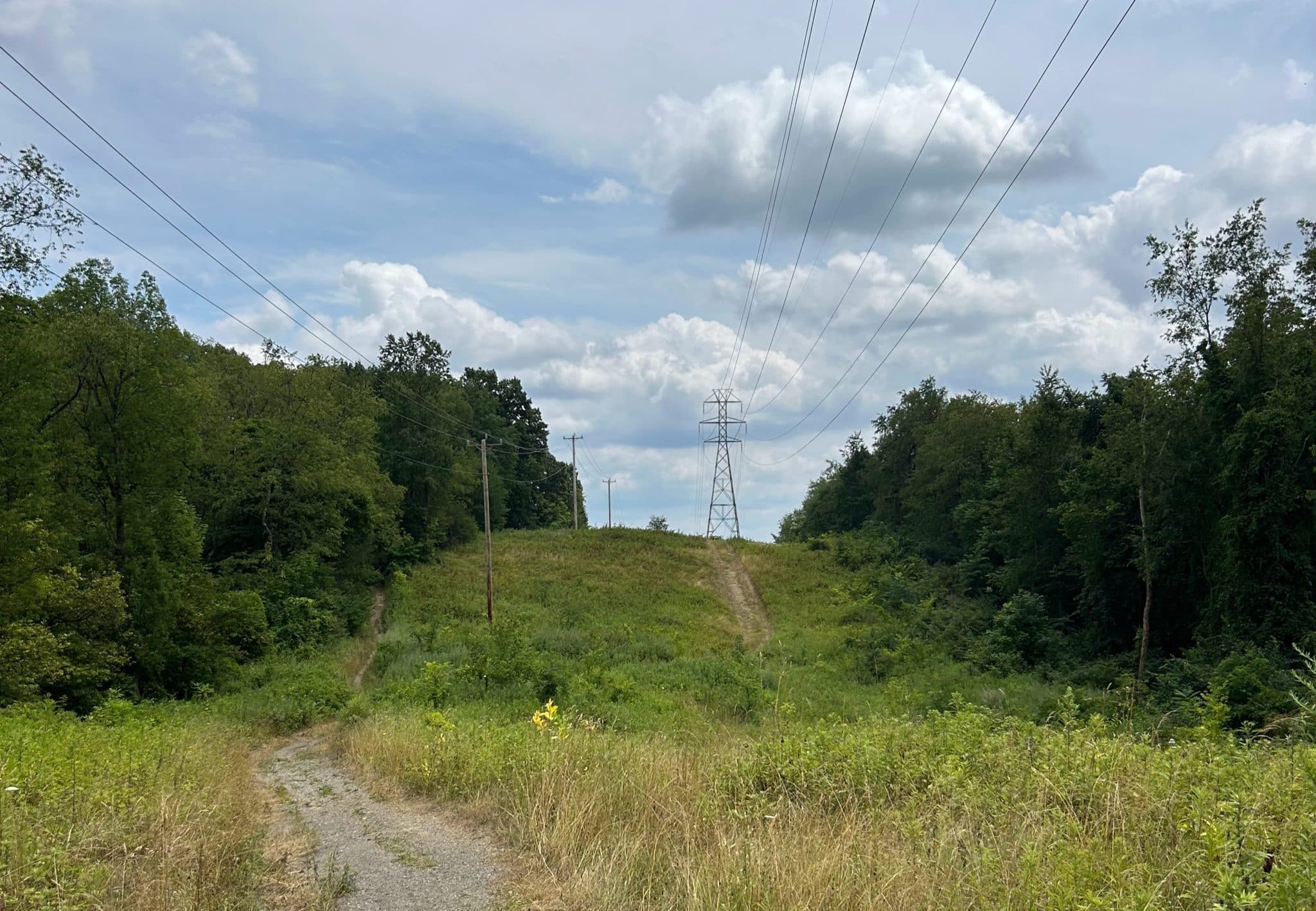 A hilly trail is covered with grass and surrounded by trees and a powerline.