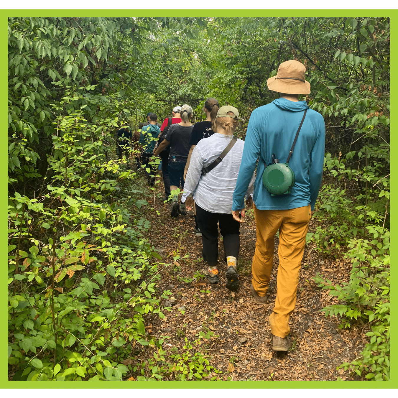 People dressed in hiking clothes with sun hats and watering cans walk along an overgrown path.