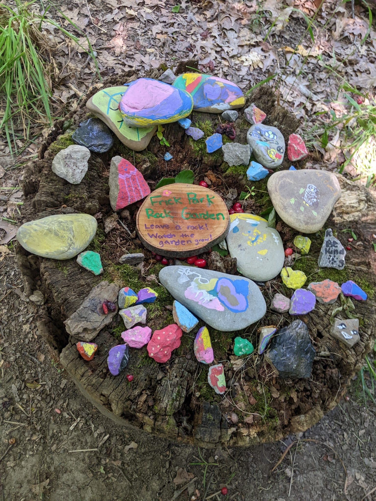 Discovery Time: Rockin with Rocks – Frick Environmental Center ...
