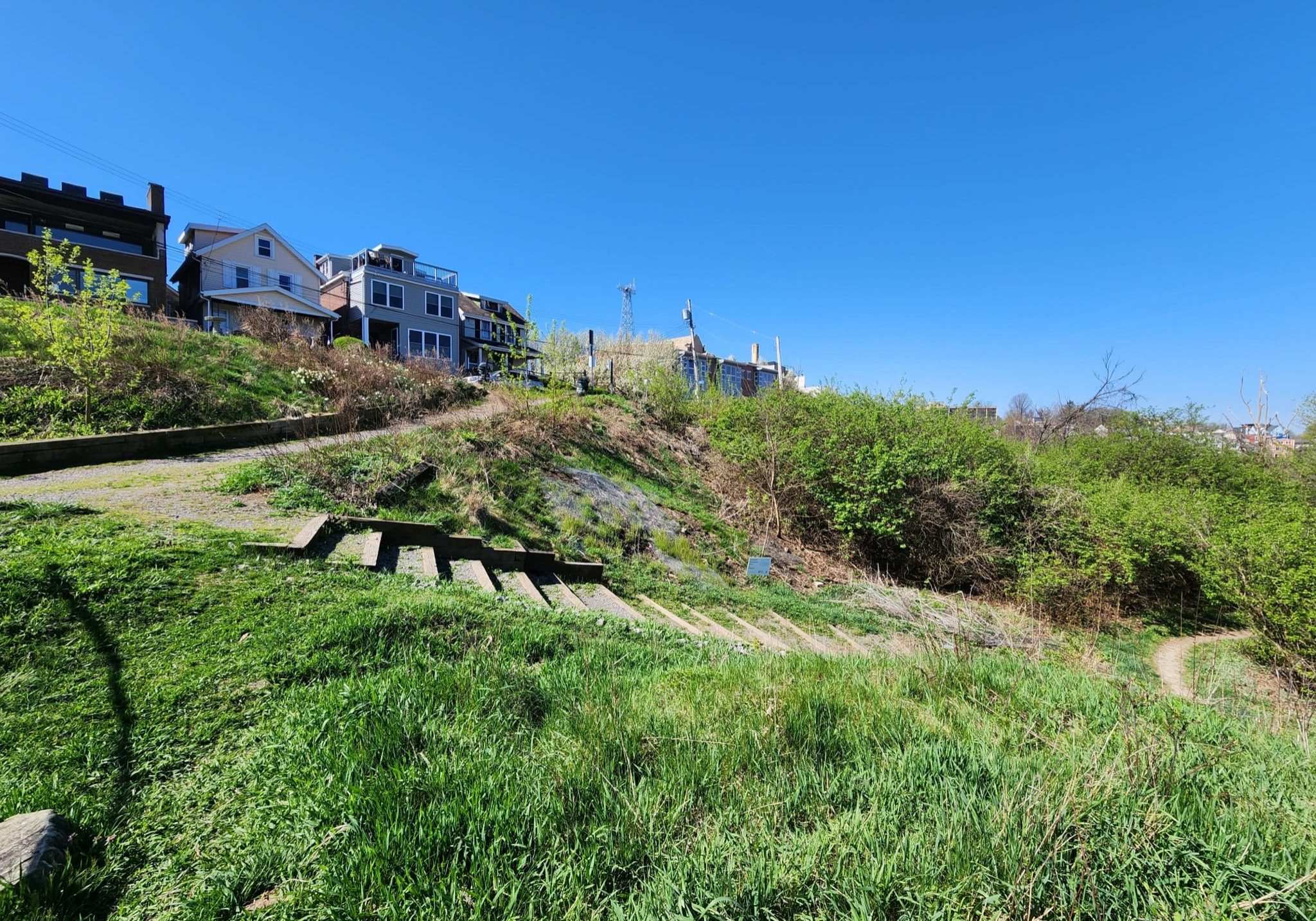 Grass, steps, and meadow area of Emerald View Park
