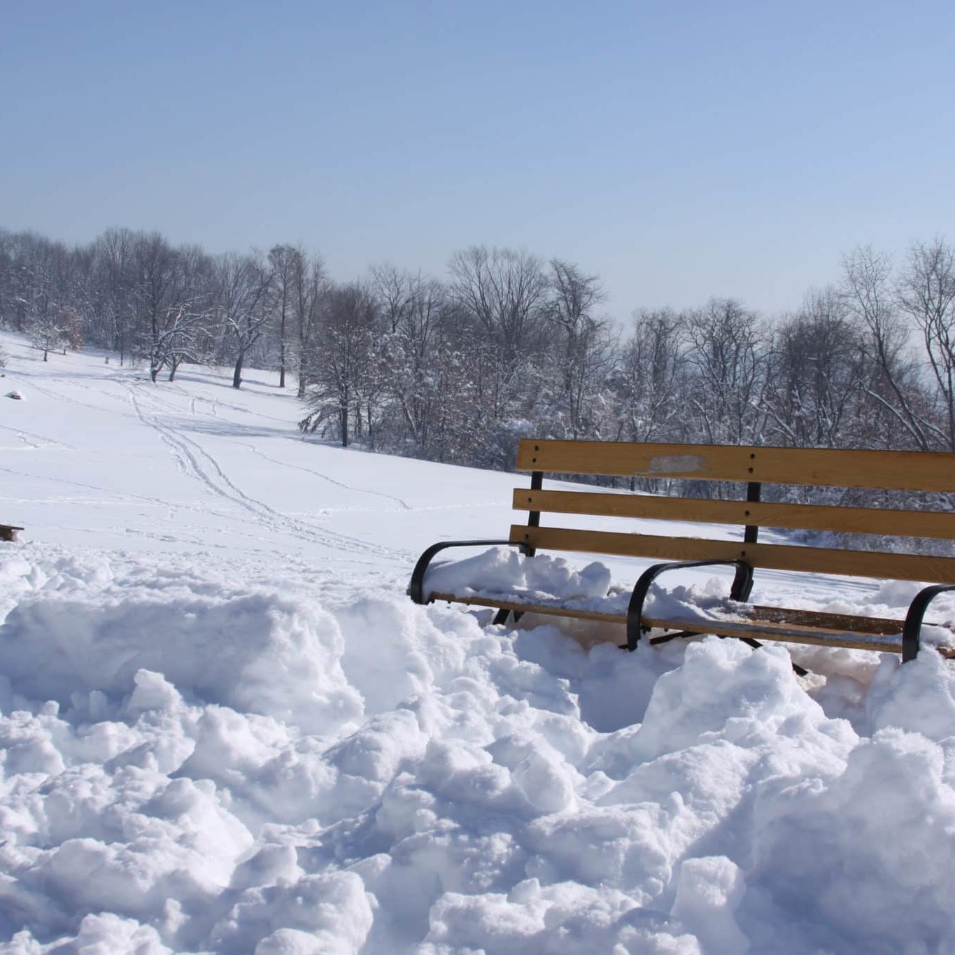 Frick Park HTL Sunny Winter Icy Sorbet Load White Snow Benches Dried Trees Blue Sky (Melissa McMasters)